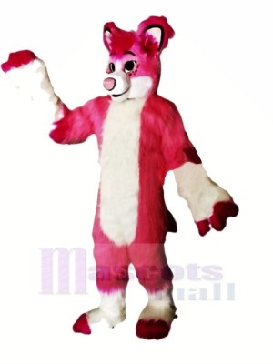 Rosa Heiser Hund Maskottchen Kostüme