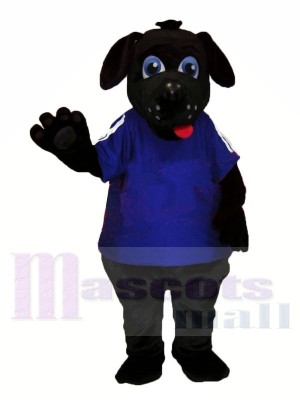 Schwarz Hund mit Groß Augen Maskottchen Kostüme Tier