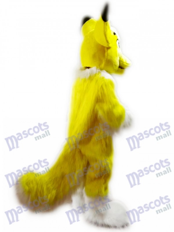 Gelber Husky Hund Fuchs Maskottchen kostüm Karikatur