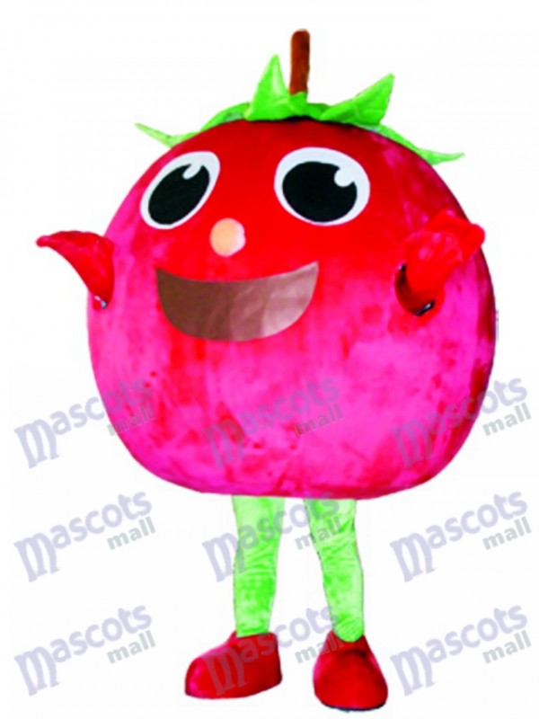 Red Tomato Maskottchen Kostüm Obst Gemüse Lebensmittel